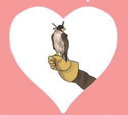 Falcon inside of a heart shape
