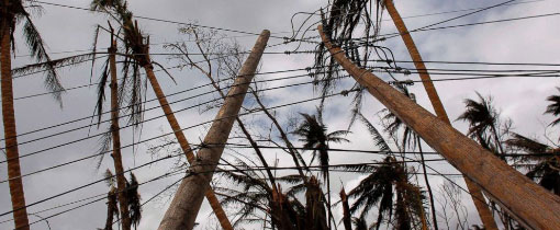 Downed Power lines